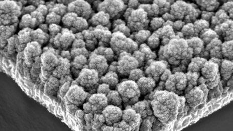 Champion nanoparticles