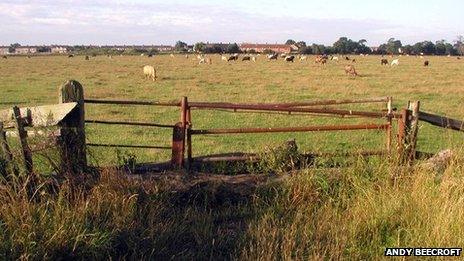 Hedon aerodrome