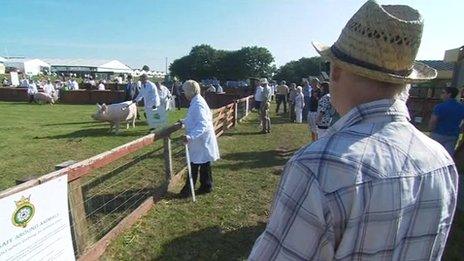 Great Yorkshire Show