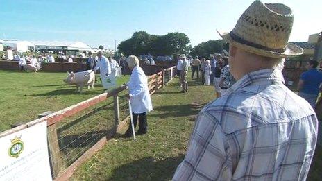 Great Yorkshire Show