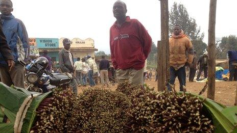 Khat at market in Kenya