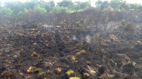 Scene of fire at Chobham Common