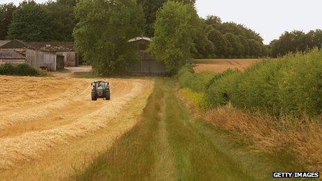 tractor motors down side of wheat field