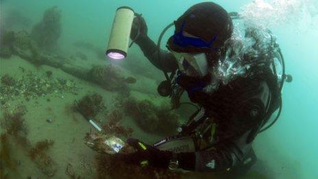 Diver carrying out a field survey on HMS Invincible in the Solent