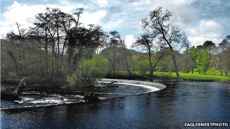 Horseshoe Falls