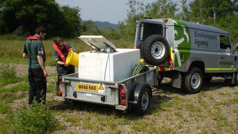 Fish rescue in the River Teme in Herefordshire