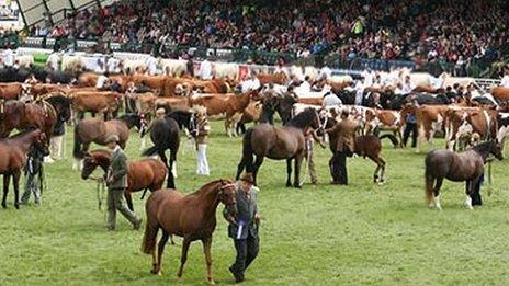 The Royal Welsh Show