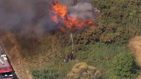 Grass fire in Mitcham