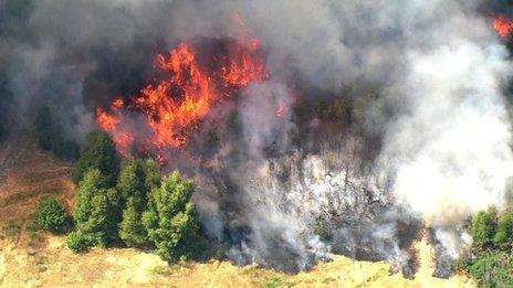 Grass fire on southern edge of Epping Forest, east London