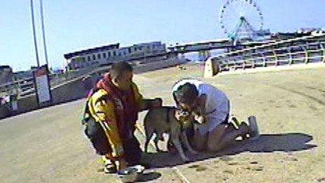 RNLI volunteer reunites dog with owner