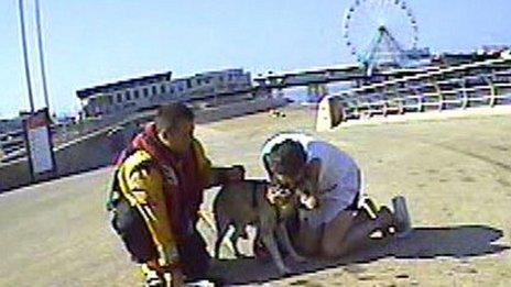 RNLI volunteer reunites dog with owner