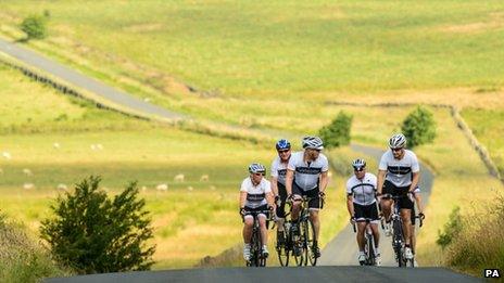 A group of cyclists reach the top of a hill, with fields and sheep in the background