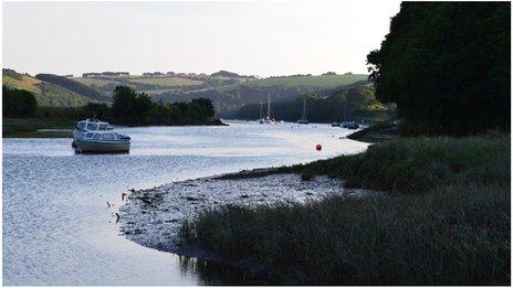 Avon near Aveton Gifford