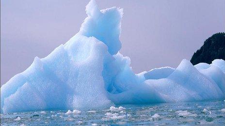 Arctic sea ice