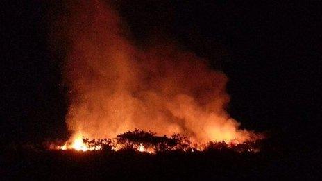 Furze Fire at Gorey