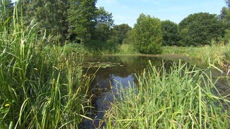 Montgomery canal, Shropshire