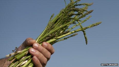 A man holding a bundle of harvested asparagus