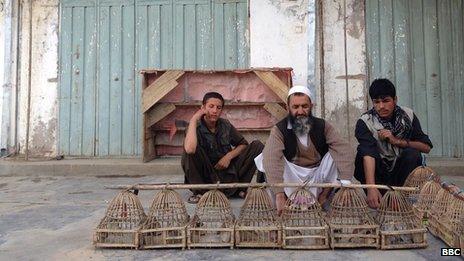 Caged birds to be sold as pets