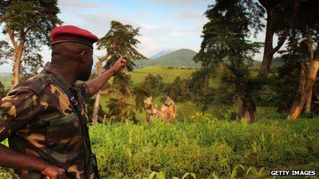 A rebel soldier looks over swathes of green in the east of the Democratic Republic of Congo