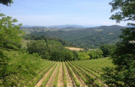 View from the Machiavelli family estate