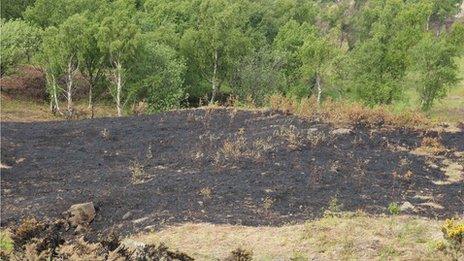 Eston Hills damaged by arsonists