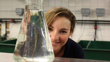 Aquarist Emma Whittle checking on a pipefish at Sea Life Blackpool