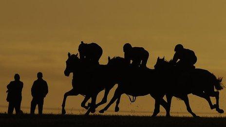 Horses on Newmarket gallops