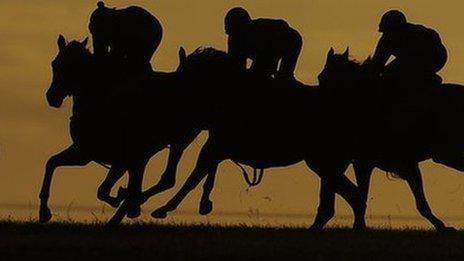 Horses on Newmarket gallops