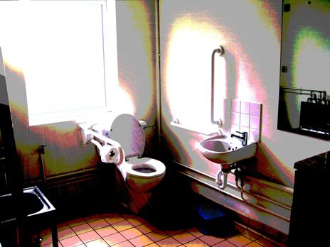 Bathroom as it appears to autistic people