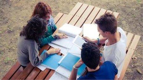 Students revising outside