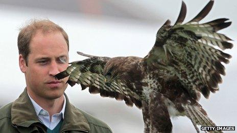 Prince William takes part in a falconry display