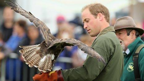 Prince William takes part in a falconry display