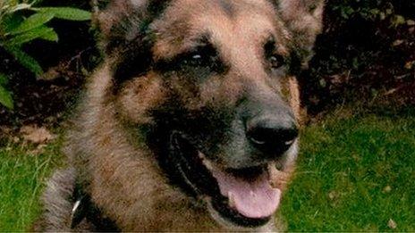 Kaiser