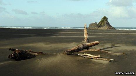 Karekare beach