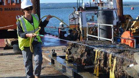 Swash wreck rudder