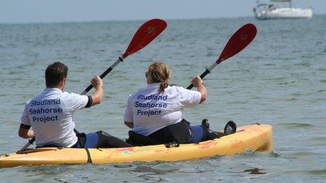 Seagrass wardens