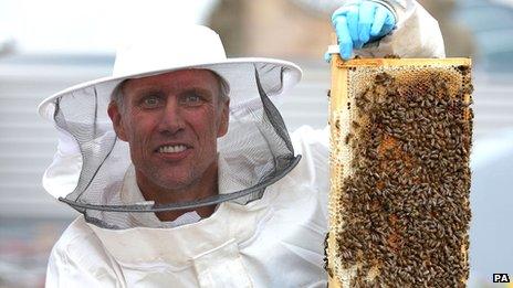 Bez with bees