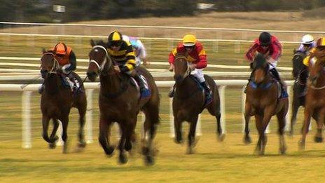 Horse race at Scone Race Track in Hunter Valley