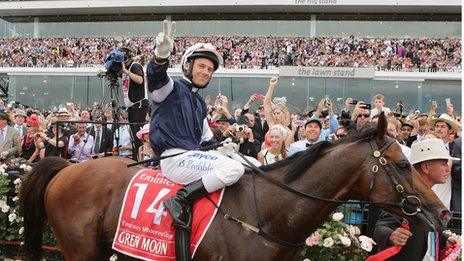 The 2012 Melbourne Cup winner Green Moon