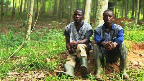 Workers at a plantation in Ivory Coast (September 2013)