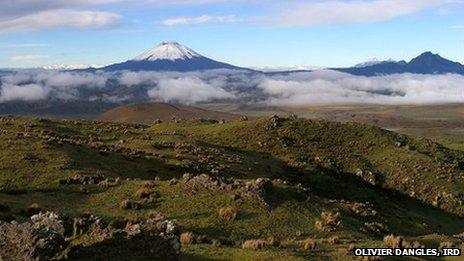 Paramo in Ecuador