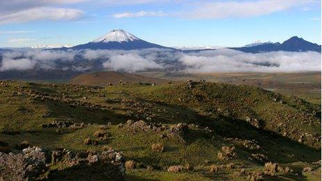 Paramo in Ecuador