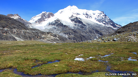 Bofedal facing Huayna Potosi in Bolivia