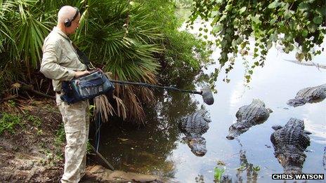 Chris Watson recording crocodiles