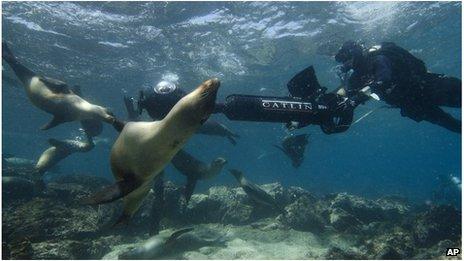 Crew filming sea lions in Galapagos