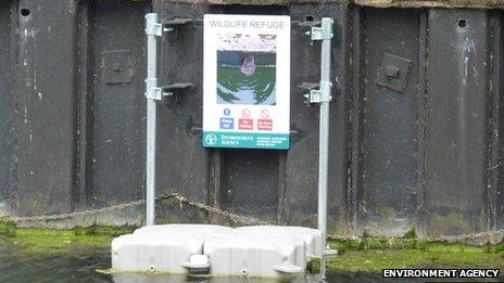 Otter refuge on the River Welland