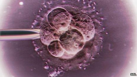 Fertilised egg