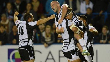 Zebre celebrate