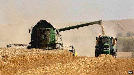 Harvesting oats near Cambridge, UK