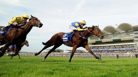 Chriselliam wins at Newmarket